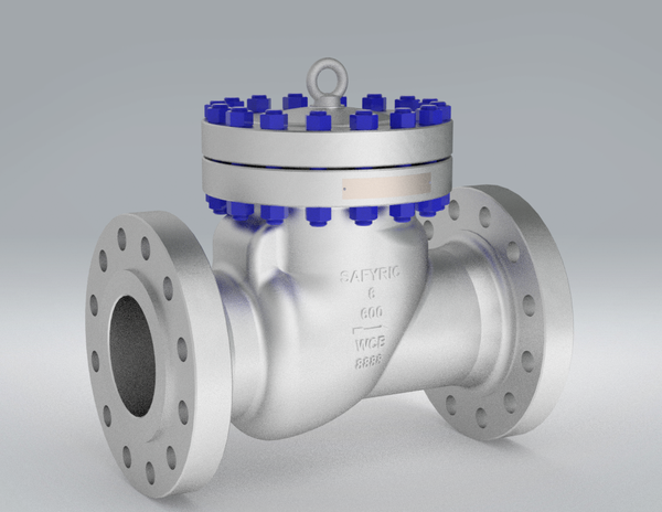 A Picture of Typical Check Valves of SAFYRIC