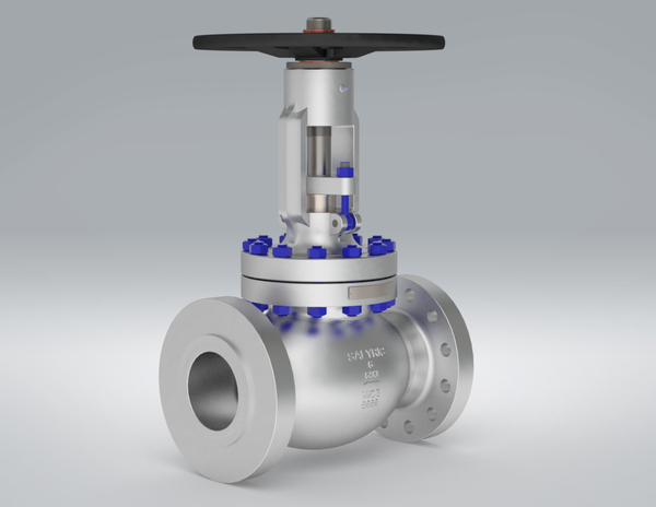 A Picture of Typical Globe Valves of SAFYRIC