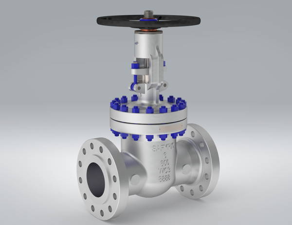 A Picture of Typical Gate Valves of SAFYRIC