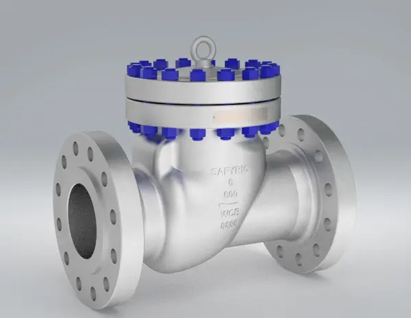 A Swing Check Valve